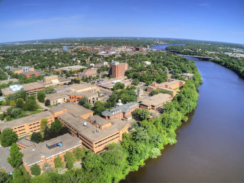 Tree services in Central Minnesota